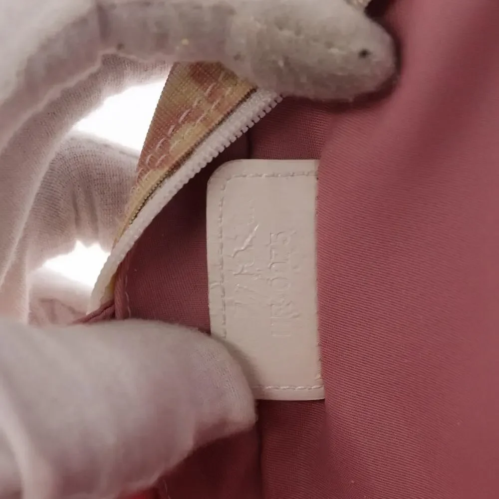 Dior Trotter Pouch Pink